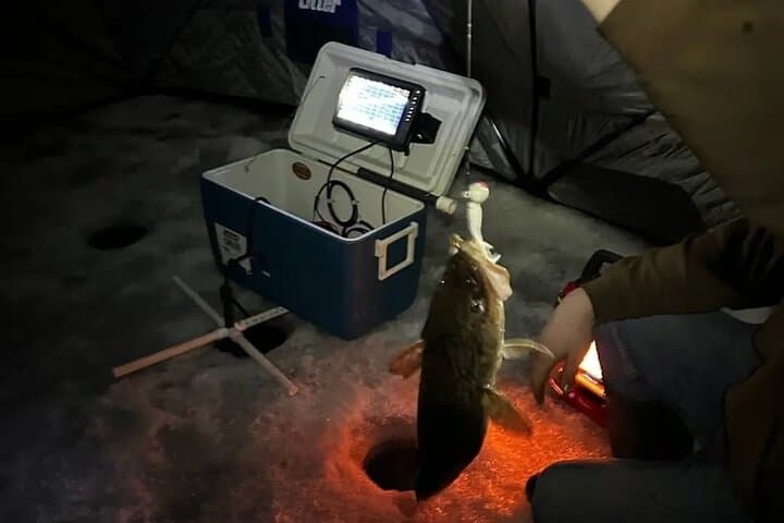 Yukon Icefishing and Aurora Viewing: Night Burbot Trip from Whitehorse photo 4
