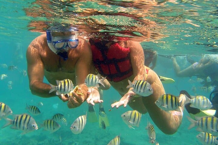 Punta Cana Catamaran Party & Snorkel: Bávaro Natural Pool Cruise photo 3