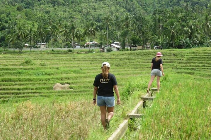 Caves, Waterfalls & Cadapdapan Rice Terraces: Full-Day Anda Adventure