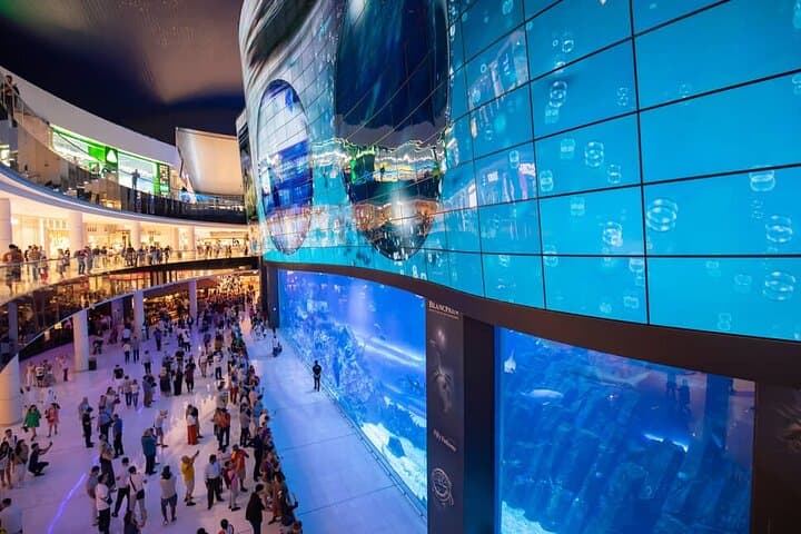 Inside Dubai Aquarium: Tunnel Walks, Penguin Cove & Glass-Bottom Boat photo 5