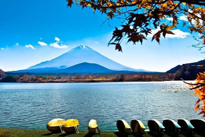 Day Trip from Tokyo: Mount Fuji & Hakone Private Sightseeing Tour photo 3