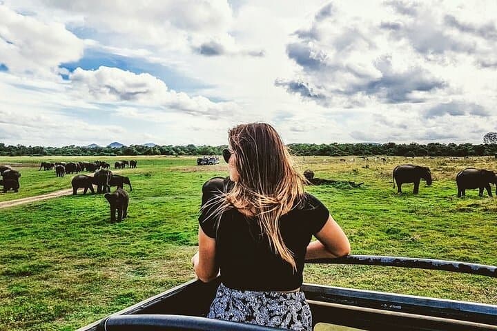 Sigiriya Safari: Minneriya or Kaudulla Half-Day Elephant Experience