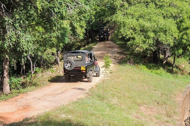 Sigiriya Safari: Minneriya or Kaudulla Half-Day Elephant Experience photo 4