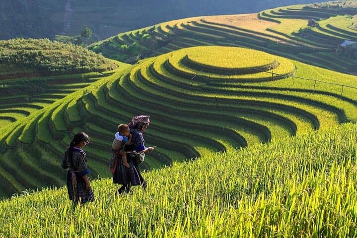 Sapa 3-Day Cultural Trek with Limousine Transfer from Hanoi