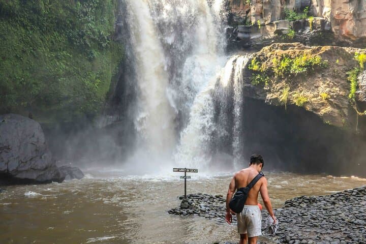 Ubud Day Tour: Monkey Forest, Tegenungan Waterfall & Tegallalang Rice Terraces photo 4