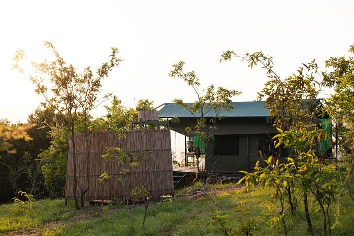 4-Day Akagera Safari and Gorilla Trekking in Volcanoes National Park photo 5
