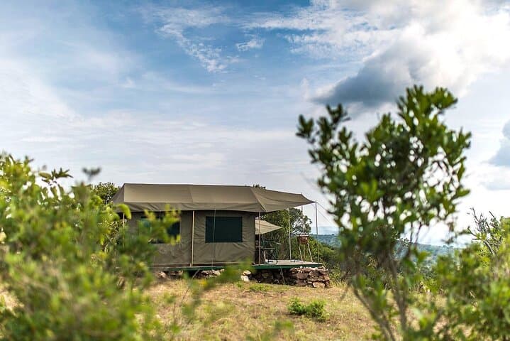 4-Day Akagera Safari and Gorilla Trekking in Volcanoes National Park photo 4