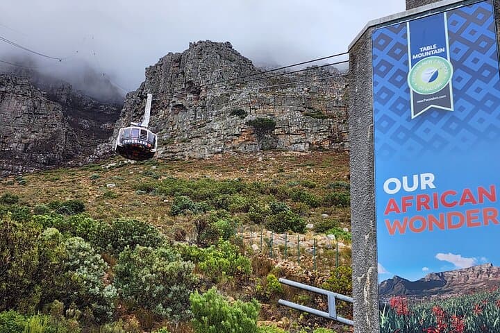 5-Day Cape Town: Robben Island, Table Mountain, Big Five Safari & Winelands photo 3