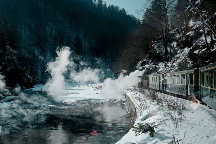 Ride the Steam Train Through Transylvania: Viseu de Sus & Carpathian Valleys photo 4