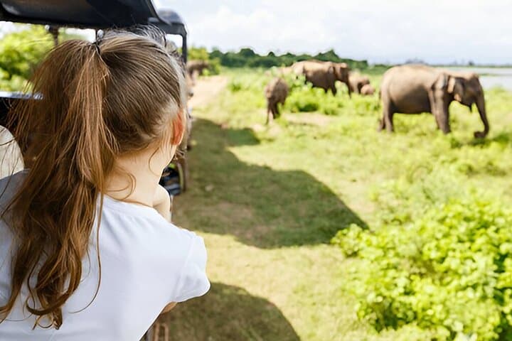 Galle to Ella Private Transfer with Udawalawe Safari — Day Trip from the Coast to the Hill Country photo 4