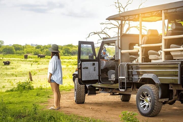 Galle to Ella Private Transfer with Udawalawe Safari — Day Trip from the Coast to the Hill Country photo 1