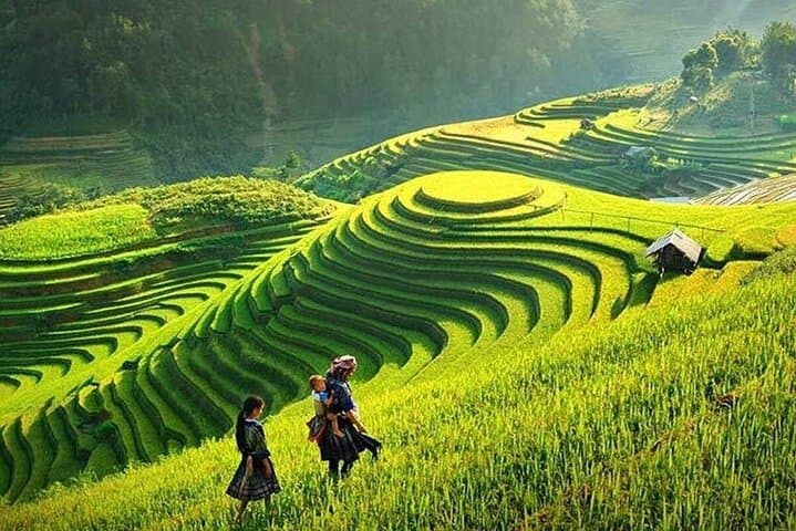 Sapa & Bac Ha Market: 3-Day Luxury Trek, Ethnic Markets, and Rice-Terrace Walks photo 5