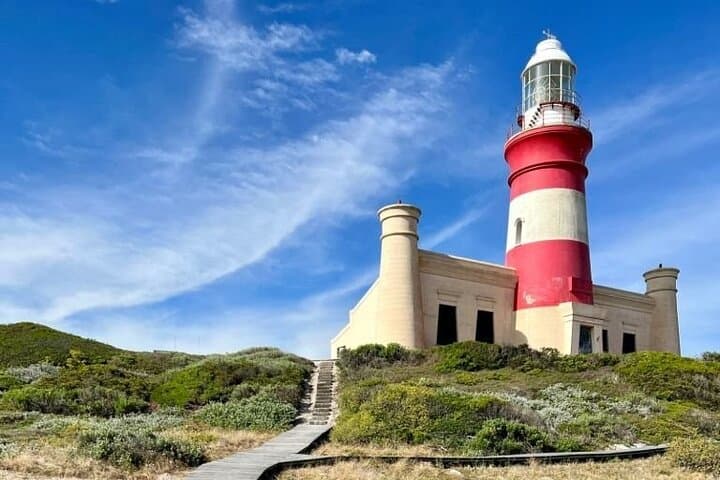 cape-agulhas-full-day-private-tour-southernmost-tip-day-trip