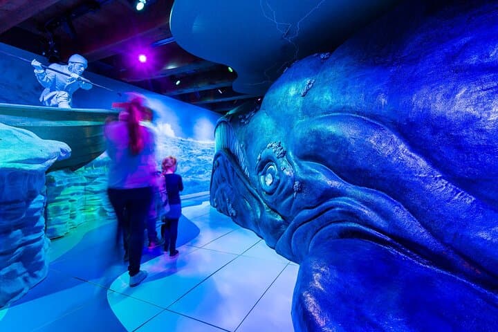 Amsterdam Canal Cruise & Maritime Museum: 75-Minute City Highlights photo 6