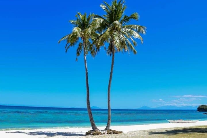 Malapascua Island Day Tour from Cebu City: Snorkel Pristine Reefs & White Sand Beaches photo 3