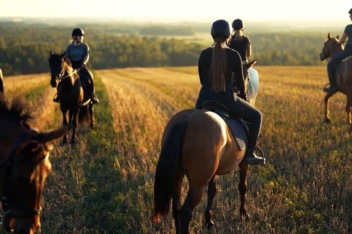 Jogevamaa Horseback Ride: Hands-On Farm Experience Near Tartu photo 4