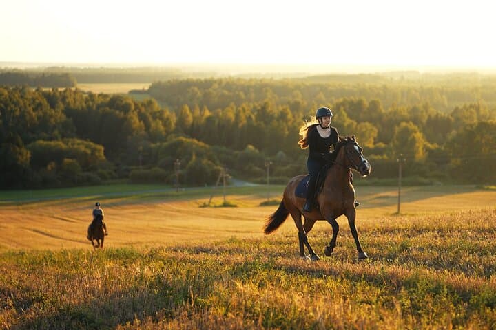 Jogevamaa Horseback Ride: Hands-On Farm Experience Near Tartu photo 3