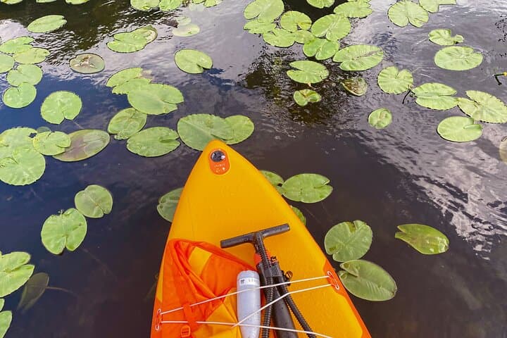 Stand-Up Paddle Skadar Lake & Buna River: Full-Day Wildlife Paddle from Tirana
