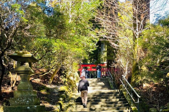Fuji & Hakone Day Tour from Tokyo — Lake Ashi Cruise, Owakudani and Chureito Pagoda photo 2