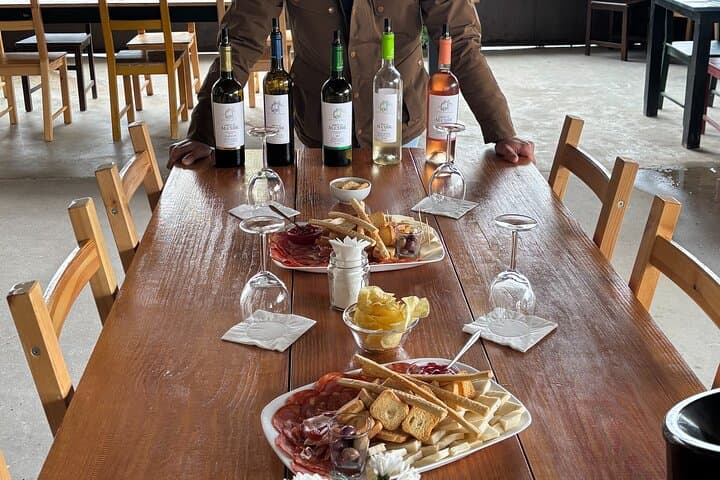arrabida-full-day-private-wine-tour-from-lisbon photo 3