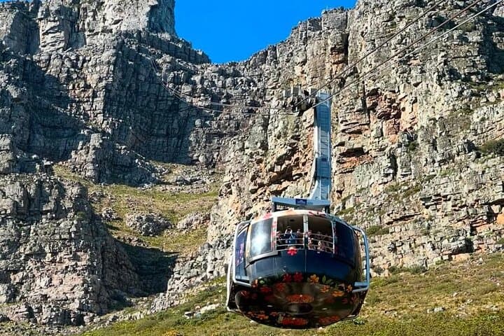 Table Mountain Half-Day Cable Car Tour: Cape Town Summit Views & Trails photo 3