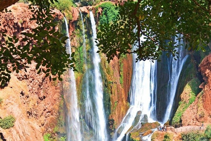 Private Tour to Ouzoud Waterfalls from Marrakech photo 5