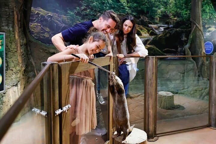 Explore Dubai Aquarium & Underwater Zoo: Penguin Cove and the 10-Million-Litre Tank photo 3