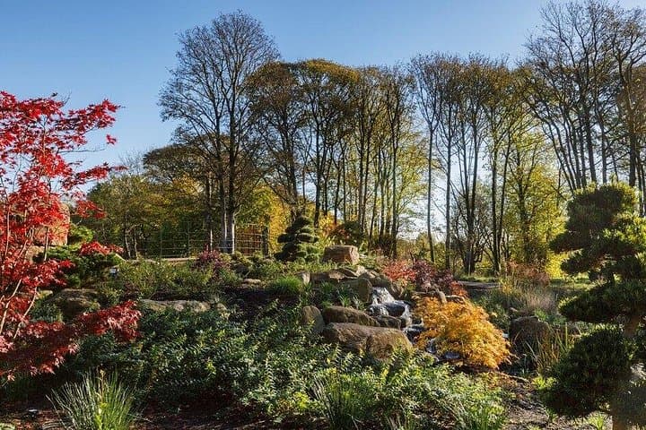 Exploring RHS Garden Bridgewater: Modern Horticulture and Historic Canal Landscapes photo 2