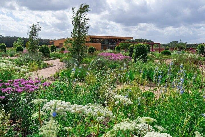 Exploring RHS Garden Bridgewater: Modern Horticulture and Historic Canal Landscapes photo 4