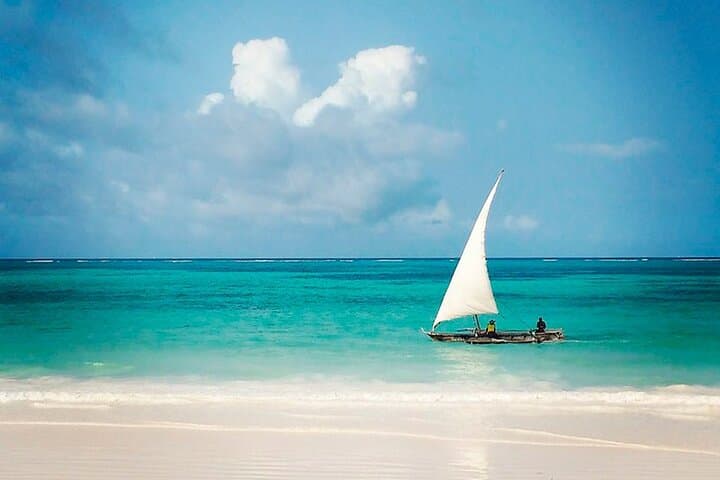 Zanzibar & Selous: 8-Day Safari and Beach Escape — Dhow Cruises, Bush Walks, and Sandbanks