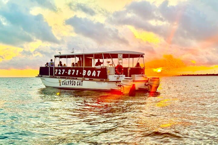 Sunset Cruise to Shell Key: Dolphins & St. Petersburg Evening Cruise