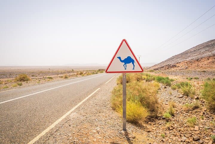 Private Zagora 2-Day Desert Trek & Camel Ride from Marrakech photo 2