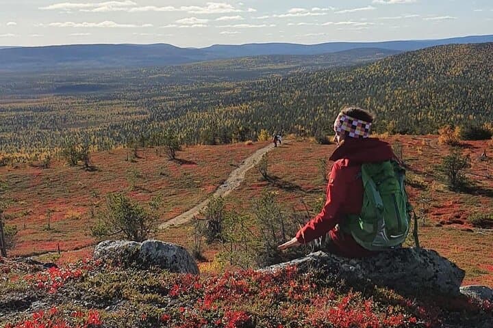 Conquer Katkatunturi: Guided Fell Hike from Levi, Lapland
