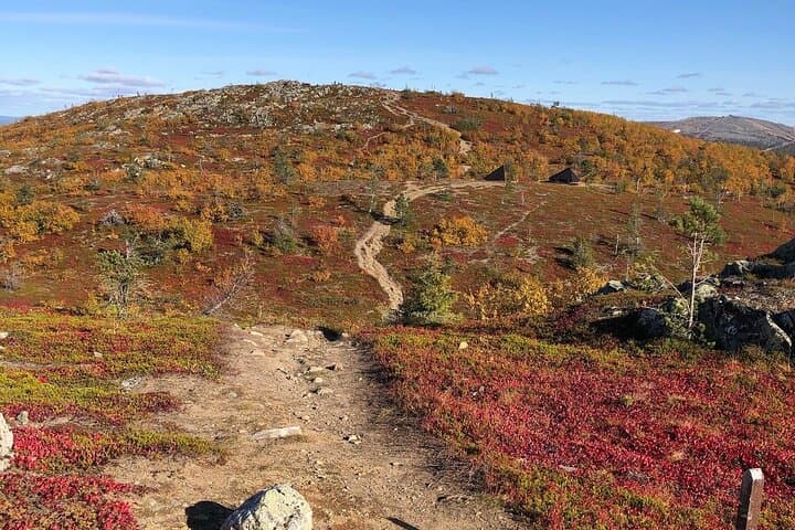 Conquer Katkatunturi: Guided Fell Hike from Levi, Lapland photo 2