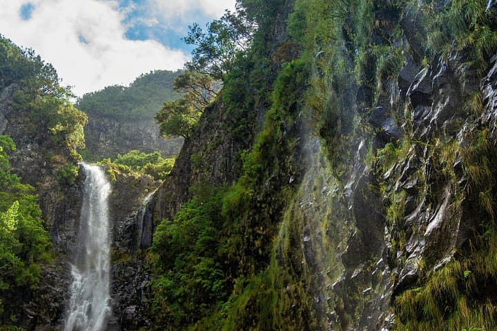 Rabacal Lakes and Fountains: Hike the 25 Fontes Levada in Madeira photo 2