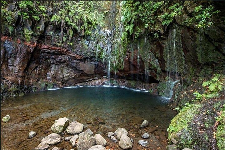 Rabacal Lakes and Fountains: Hike the 25 Fontes Levada in Madeira photo 3