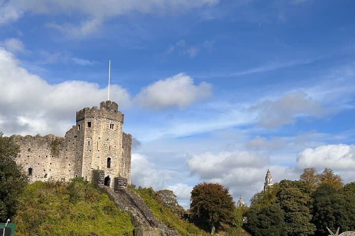 Half-Day Cardiff City Centre, Castle & National Museum Tour photo 6