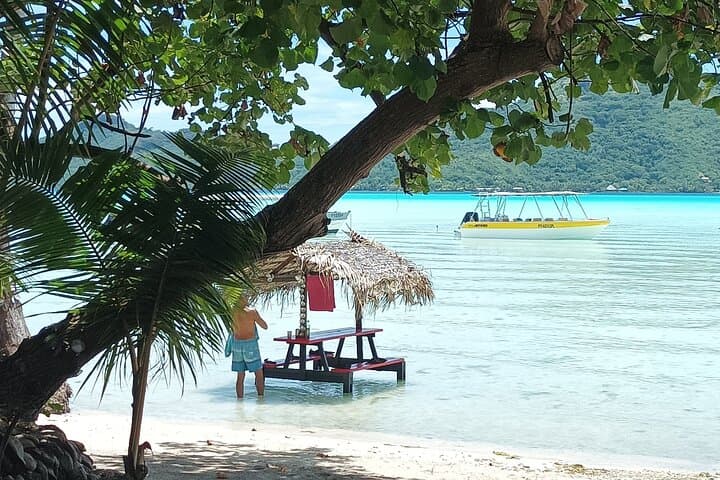 Half-Day Bora Bora Snorkel with Rays, Mantas & Coral Gardens photo 6