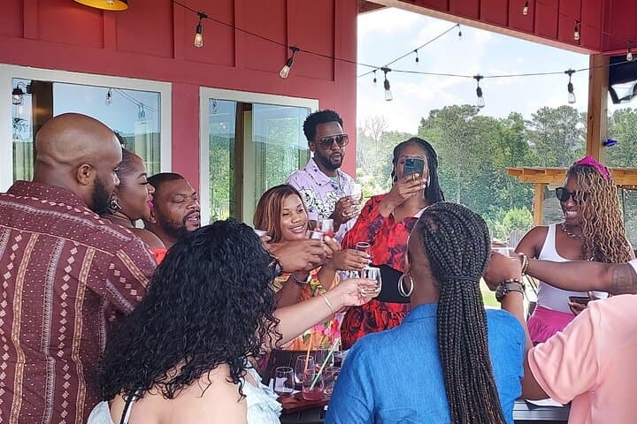 North Georgia Mountains Three-Vineyard Wine Tasting Tour
