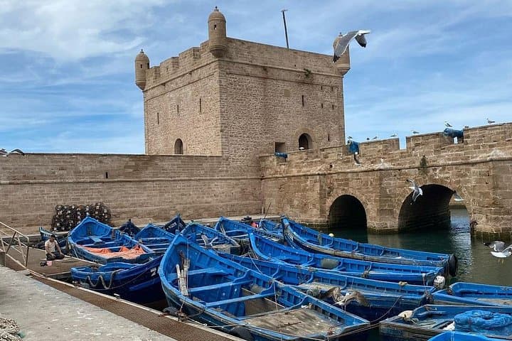 Essaouira Day Trip from Marrakech: Coastal Charm and Medina Discovery