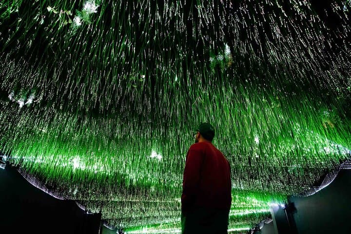 Art Club: Immersive New Media at POST Houston