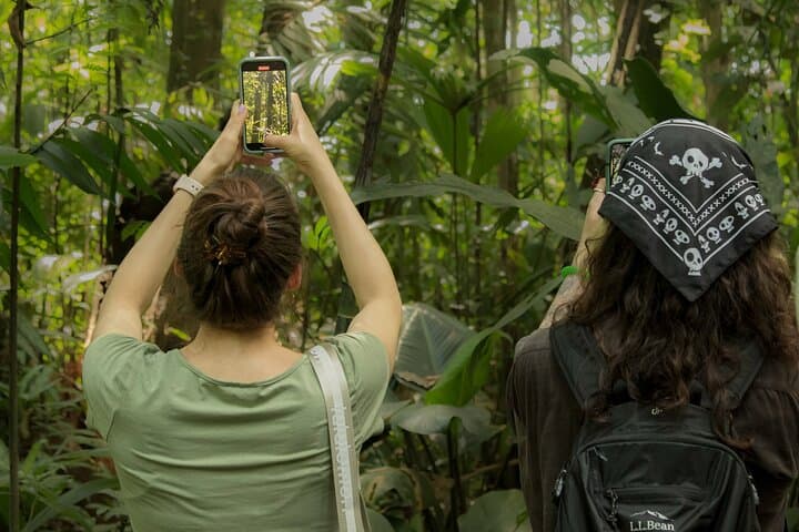 La Fortuna Rainforest Guided Night Walk: Night Wildlife in Arenal Fields photo 3