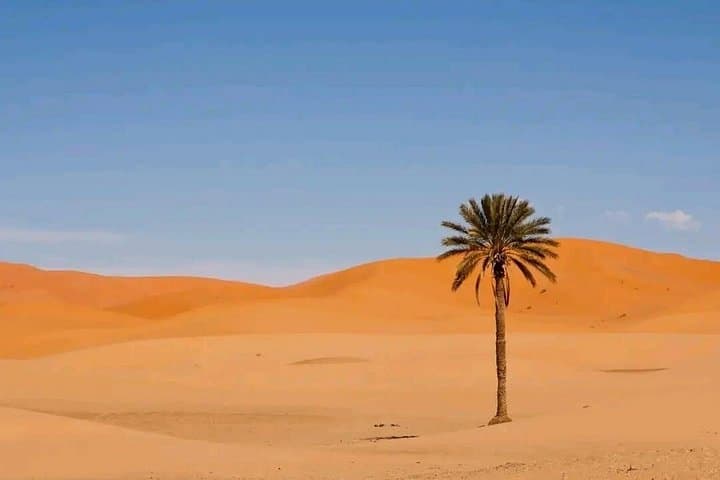 Marrakech to the Sahara: 3-Day Dunes and Gorges Tour to Erg Chebbi photo 4