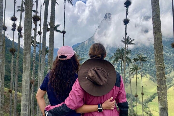 Cocora Valley & Salento Coffee Farm: Private Full-Day Tour from Salento