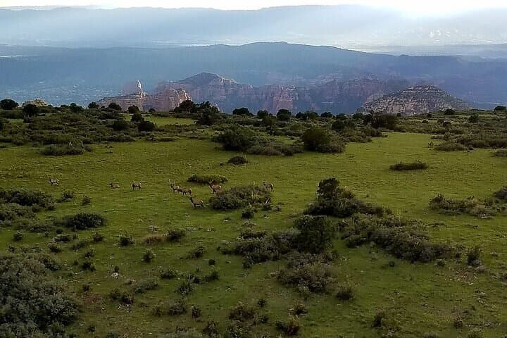 Sedona Sunset Helicopter Tour — Secret Wilderness 35-Minute Red Rock Flight photo 4