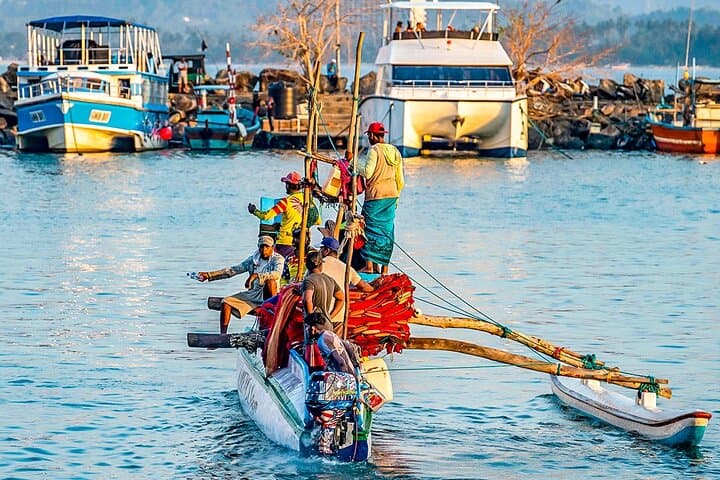8-Day Southern Sri Lanka Family Adventure — Horton Plains, Tea Country & Yala Safari