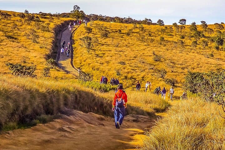 8-Day Southern Sri Lanka Family Adventure — Horton Plains, Tea Country & Yala Safari photo 3