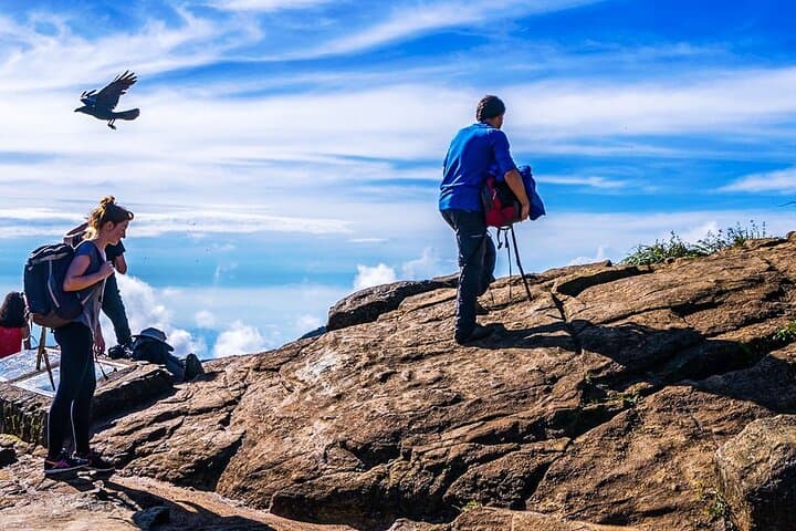 8-Day Southern Sri Lanka Family Adventure — Horton Plains, Tea Country & Yala Safari photo 6