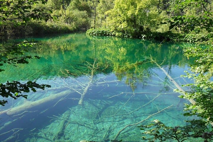Full-Day Plitvice Lakes National Park Trip from Ljubljana — UNESCO Waterfalls & Boardwalks photo 4
