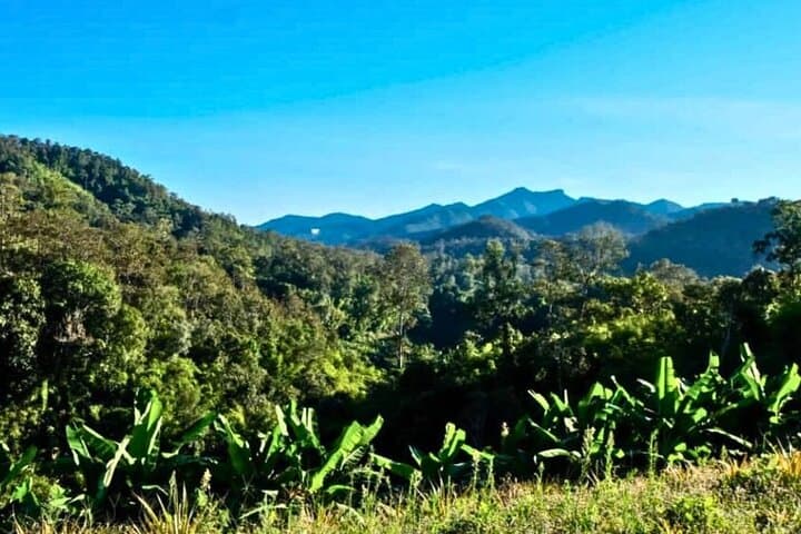 2-Day Chiang Mai Jungle Trek: Hill Tribes & Bamboo Rafting photo 6